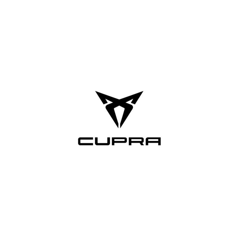 Tuning file Cupra Ateca 2.0 TSI 300hp