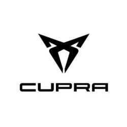 Tuning file Cupra Ibiza 2.0 TSI 200hp