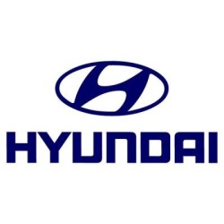 Tuning file Hyundai Elantra 1.6 MPI 132hp