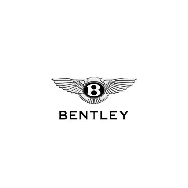 Tuning file Bentley Continental GT3-R 4.0 TFSI V8 580hp