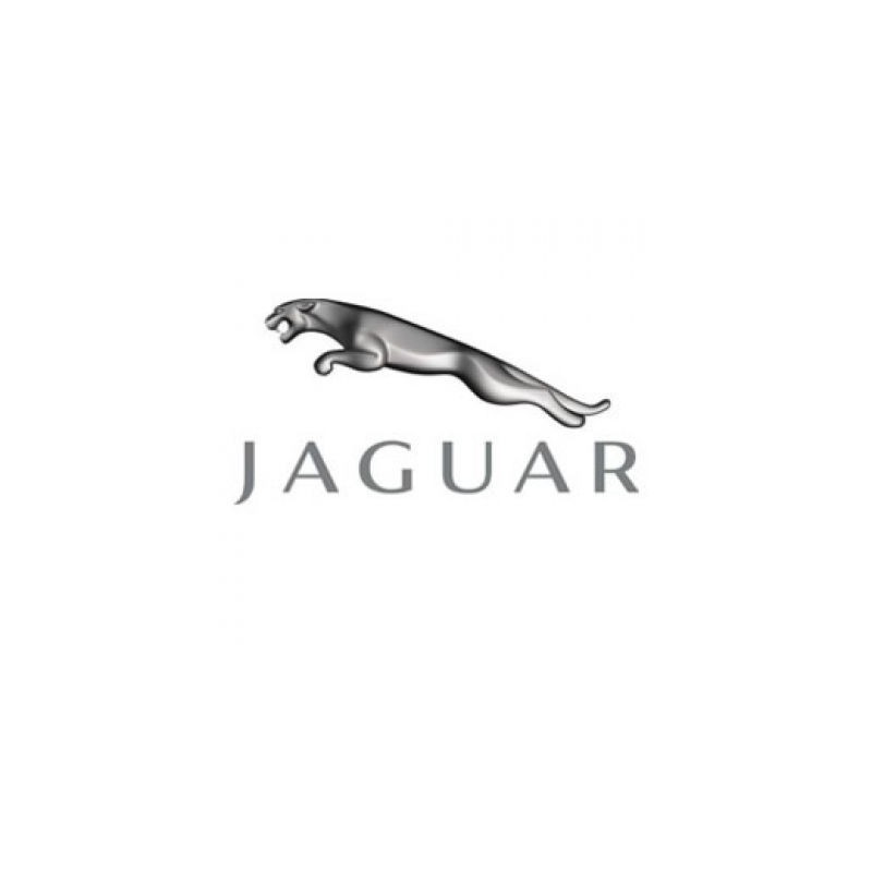 Tuning file Jaguar E Pace D180 (2.0D) 180hp
