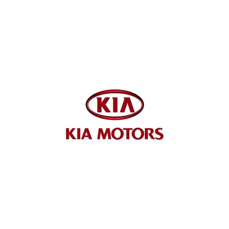 Tuning file Kia Carnival 2.9 CRDi 144hp