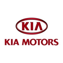 Tuning file Kia Ceed 1.0 T-GDI 100hp