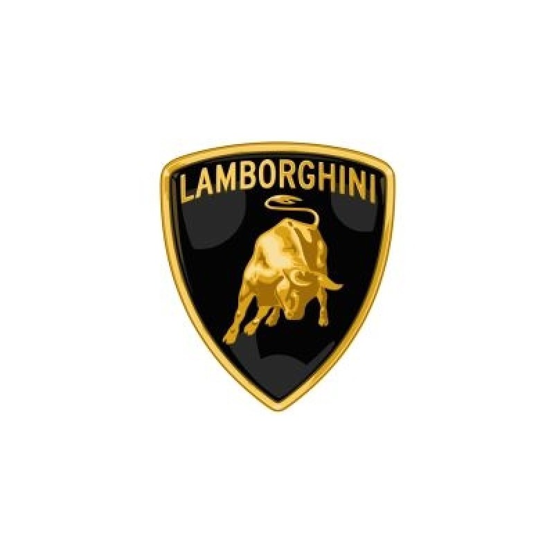 Tuning file Lamborghini Gallardo 5.2 V10 LP550-2 550hp