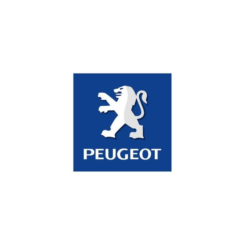 Tuning file Peugeot 1007 1.6 HDiF 16V 110hp