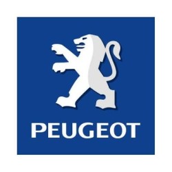 Tuning file Peugeot 108 1.2 e-VTi 82hp