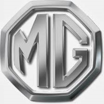 Mg